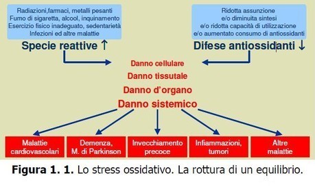 Misurazione stress ossidativo - Skin Center Pescara