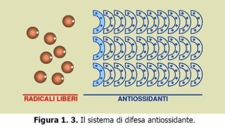 sistema difesa antiossidante Radicali liberi - Misurazione stress ossidativo - Skin Center Pescara